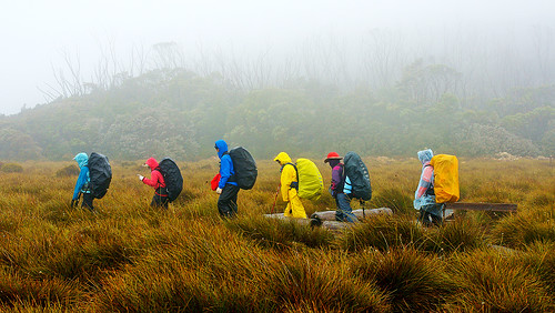 Overland Track